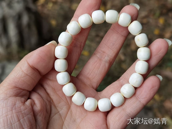 平平无奇的一条小白蜡_珠串琥珀蜜蜡