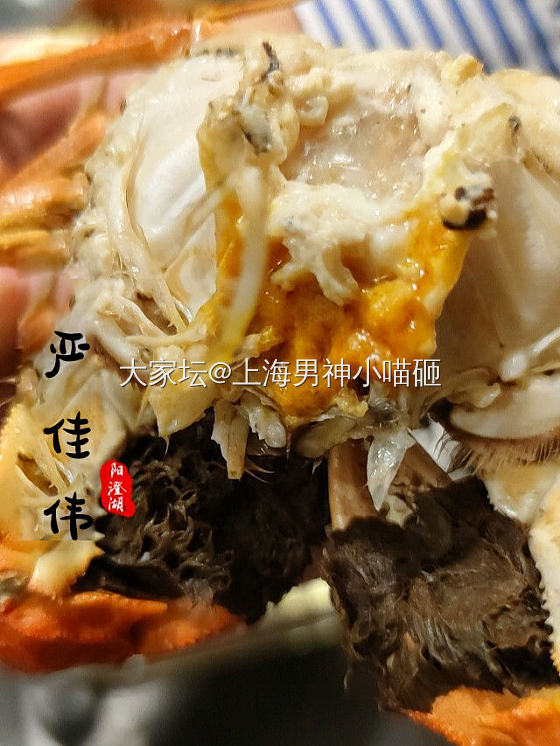 这个季节的公蟹&母蟹简直是太美味啦