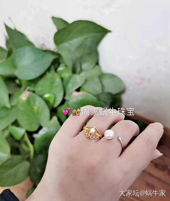 足金镶嵌系列❤️_首饰