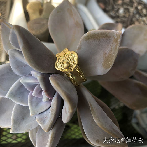 大年初五迎财神秀金子_戒指金