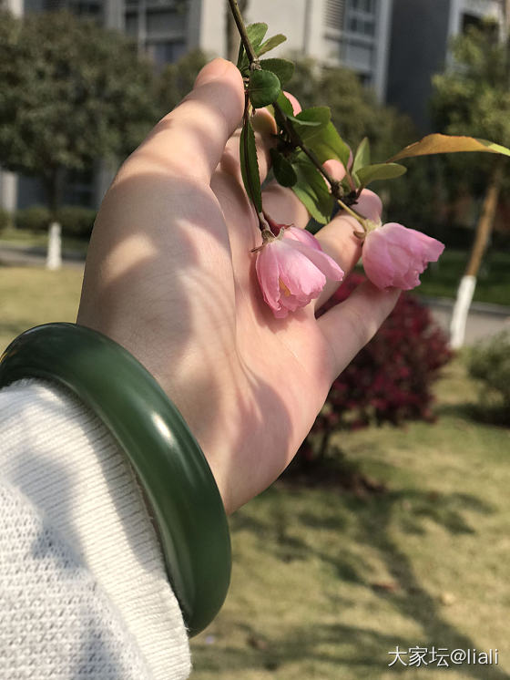 秀一下新收的镯子_和田玉花手镯