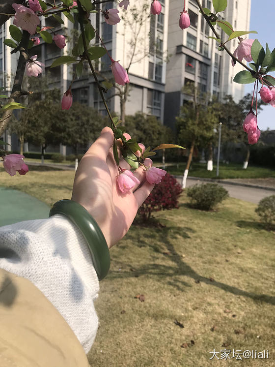 秀一下新收的镯子_和田玉花手镯