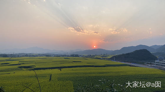 云南罗平油菜花_云南