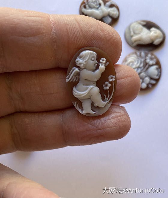 Cameo Shell 25 mm_首饰