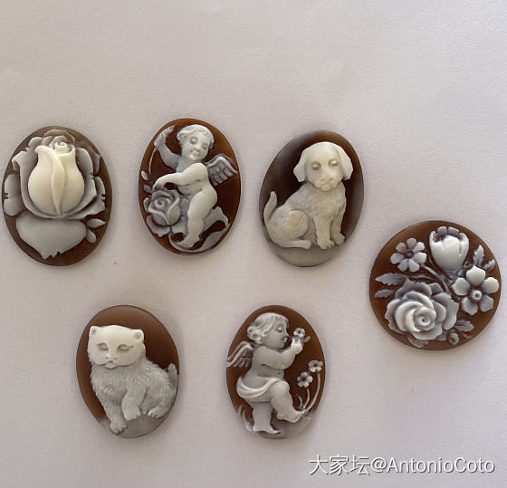 Cameo Shell 25 mm_首饰