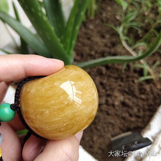 大葫芦and大饼子_琥珀蜜蜡