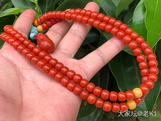 收藏级108佛珠老型手链_南红