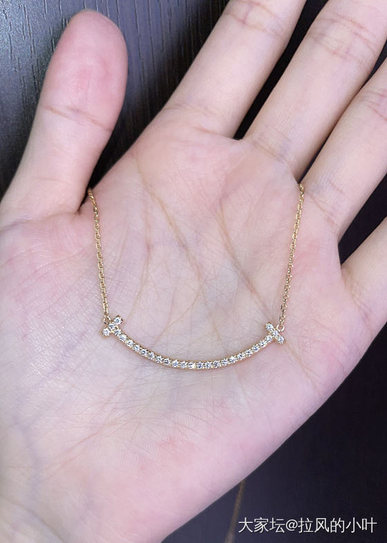 tiffany 加粗版的钻石微笑项链_钻石