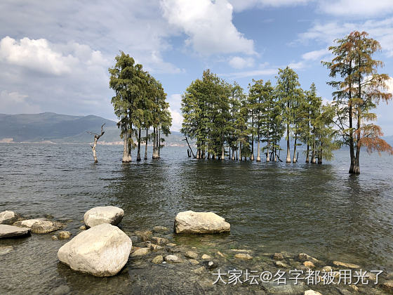 这是大理最好的季节_大理旅游