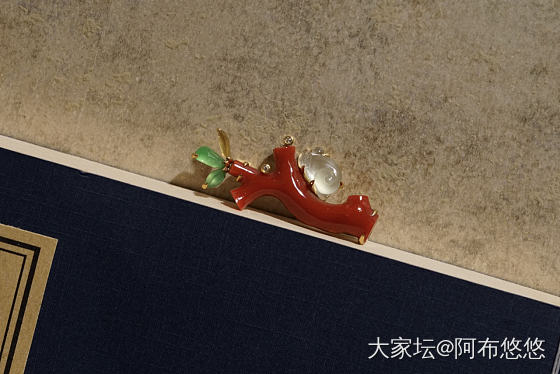 今年买了不少枝子_珊瑚