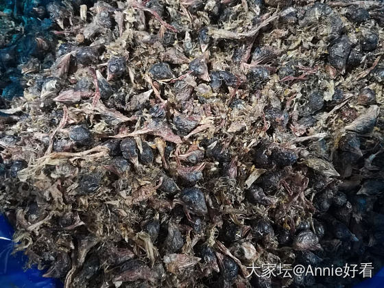 来个宠物零食冻干碎群