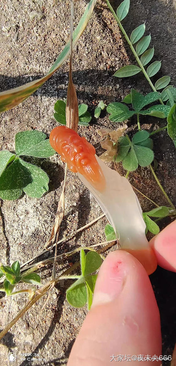 寻得宝贝一件_玉髓玛瑙