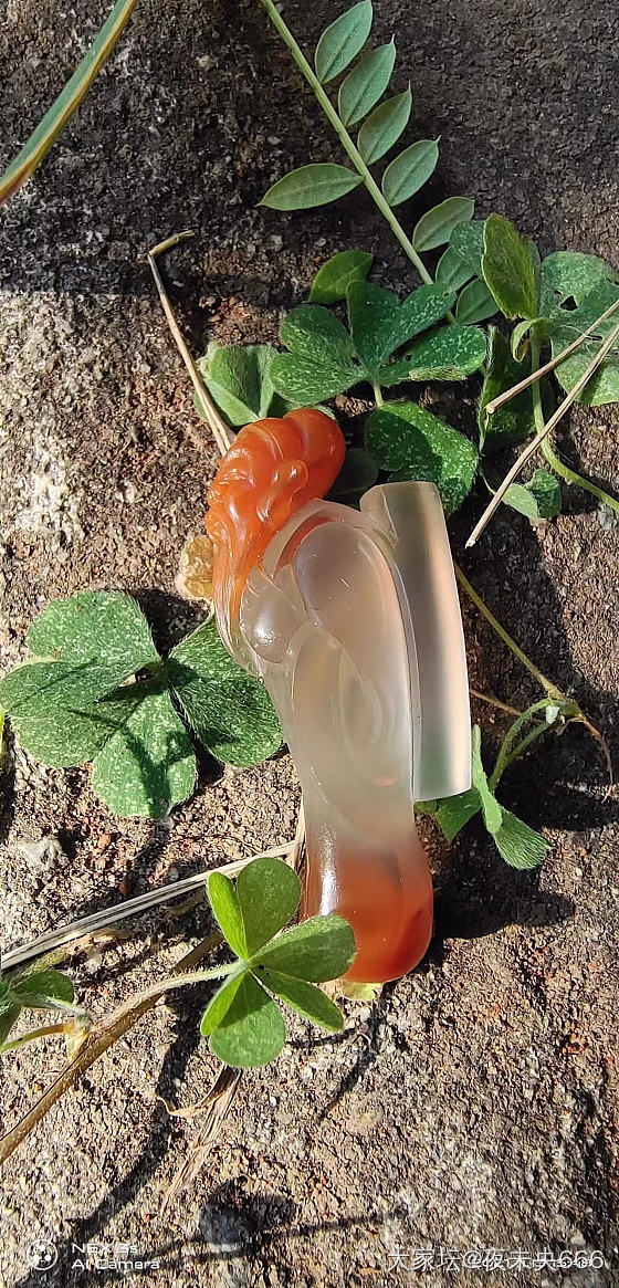 寻得宝贝一件_玉髓玛瑙