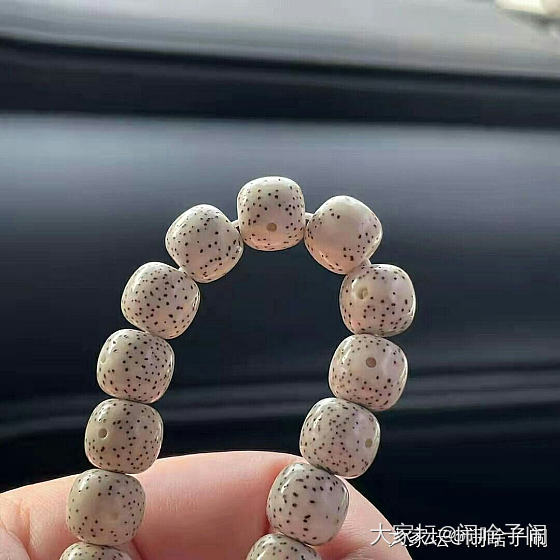 十天的效果_菩提子