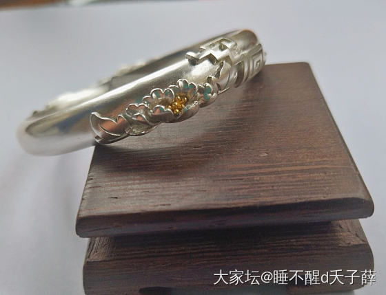 双花金蕊🌸墙角牡丹_银