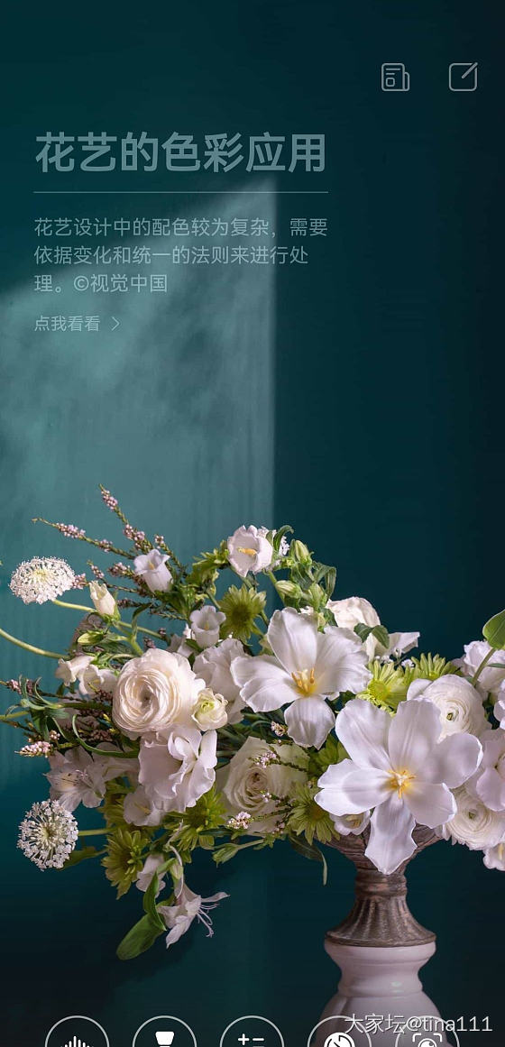姐妹们，帮忙帮出问题了
