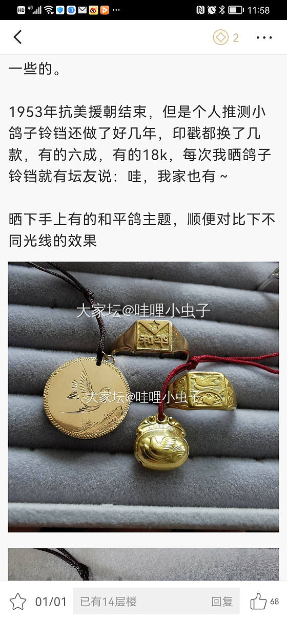 金灿灿的小鸽子_老金金