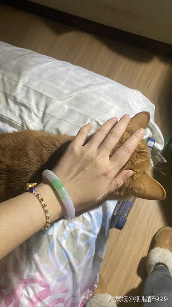 新欢拍拍拍_手镯翡翠