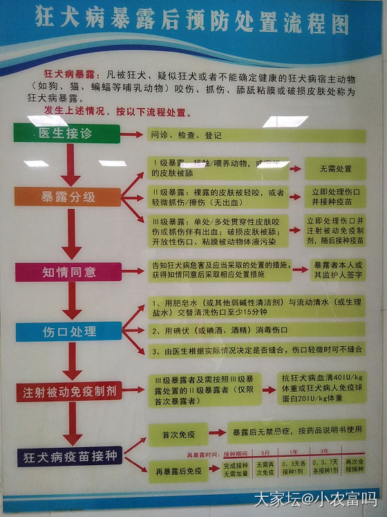 科普一下狂犬疫苗的接种_宠物