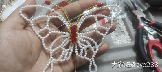 手工使人平静（蝴蝶修改版和绕线卡梅奥）_珊瑚
