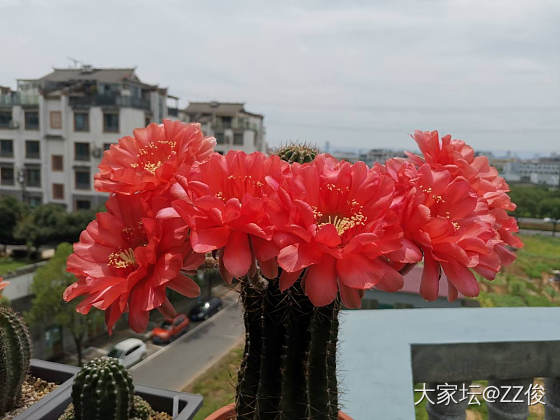 请教大家有关论坛的一个小问题_问题