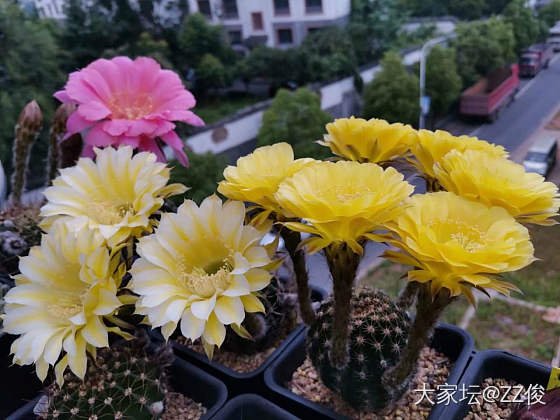 请教大家有关论坛的一个小问题_问题