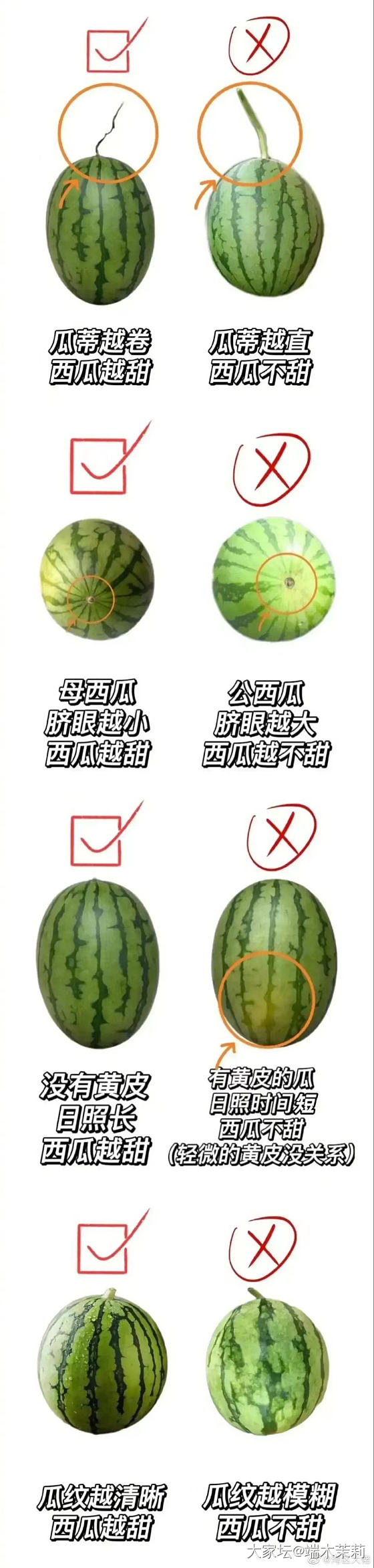 混油皮求推荐适合夏天使用的护肤品_护肤