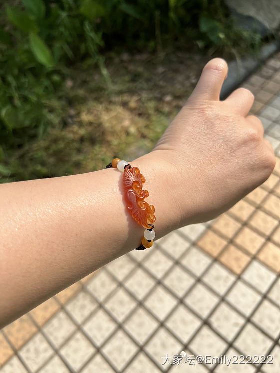 阳光下的凤凰于飞😜_手饰玉石