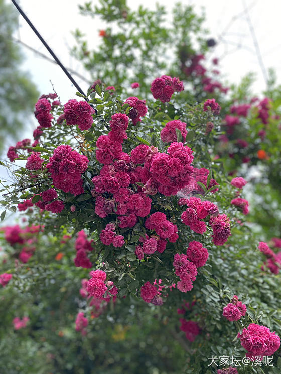 端午安康，粽子节安好，今天入手了一个福字麻花手镯，下午就发货了。_金