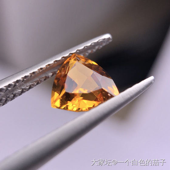 斜硅镁石_硅镁石