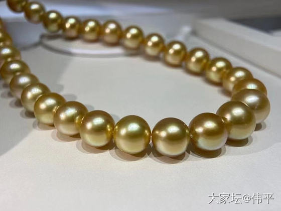 盛装出席只为遇见你！南洋金珠项链耀眼无比浓郁深金金珠项链  10.5-13mm_珍珠