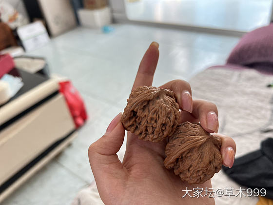 有懂核桃的吗这是啥品种呀_核桃