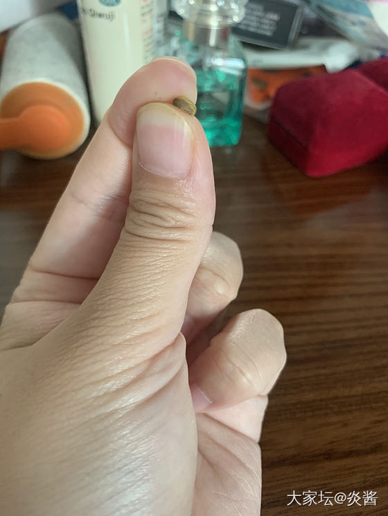 新欢和新新欢_金