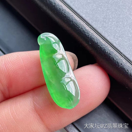 冰阳绿四季豆_翡翠