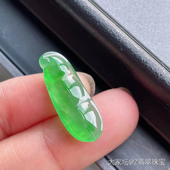 冰阳绿四季豆_翡翠
