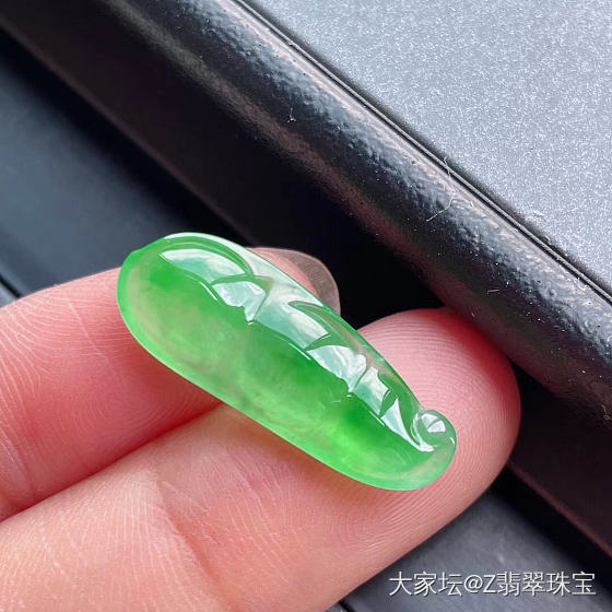 冰阳绿四季豆_翡翠