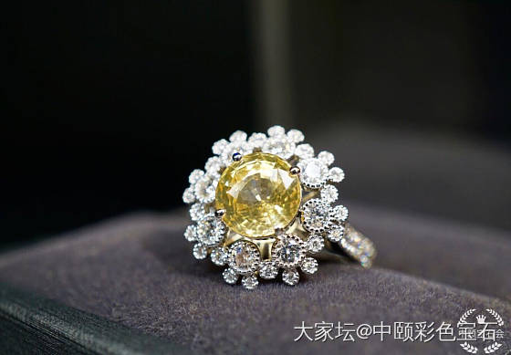 ##中颐天然未加热黄色蓝宝石##  2.72ct_蓝宝石名贵宝石