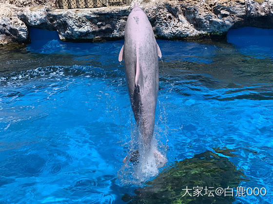 今日银镯·夏天是银镯子的天下～_银