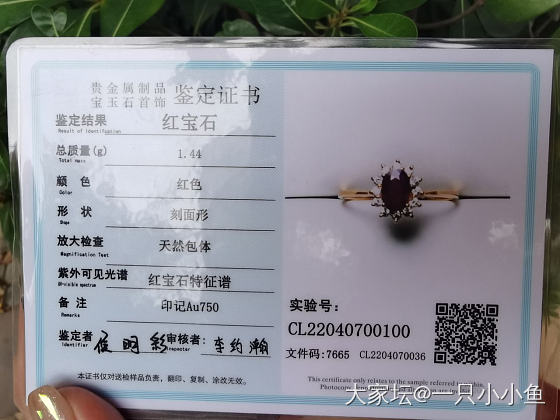 还图红宝石戒指_戒指红宝石