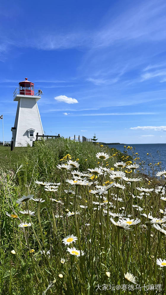 告別PEI坐渡轮进入Nova Scotia_旅游