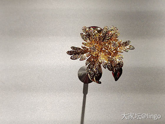 梵克雅宝 时间 自然 爱_梵克雅宝展会