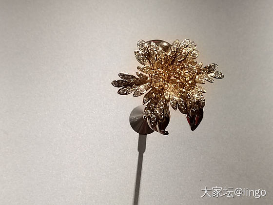 梵克雅宝 时间 自然 爱_梵克雅宝展会