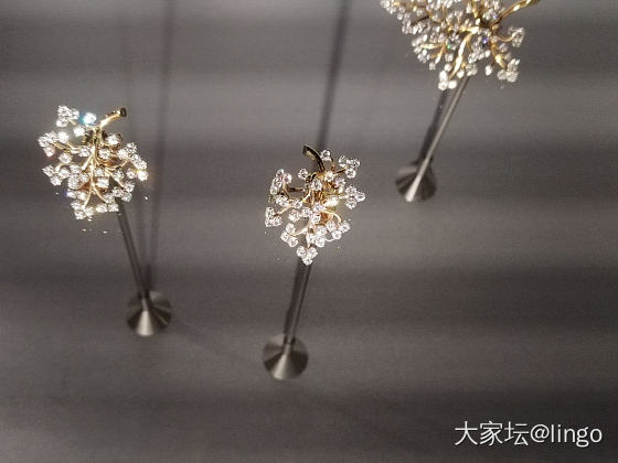 梵克雅宝 时间 自然 爱_梵克雅宝展会