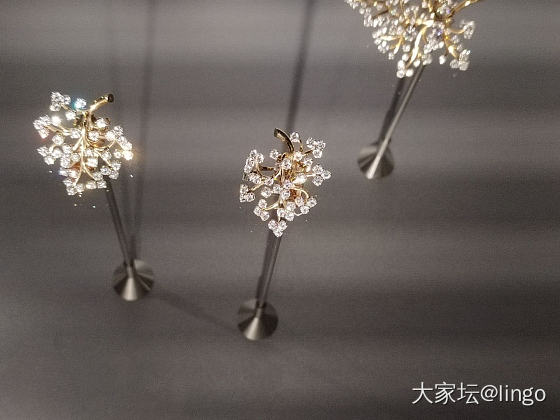 梵克雅宝 时间 自然 爱_梵克雅宝展会