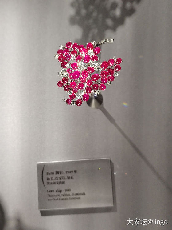梵克雅宝 时间 自然 爱_梵克雅宝展会