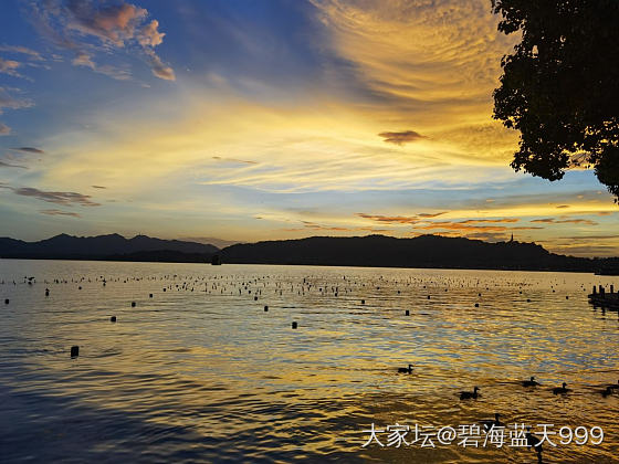 西湖的夕阳_景色