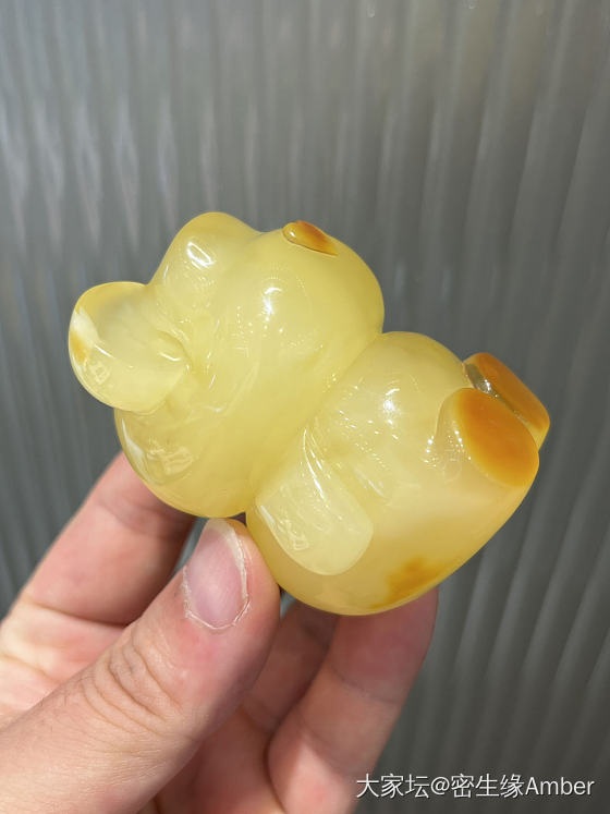 可爱的🐻🐻_琥珀蜜蜡