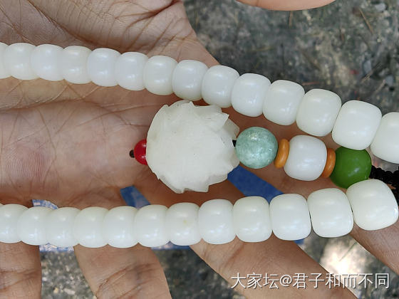 菩提子手感也不错_菩提子和田玉