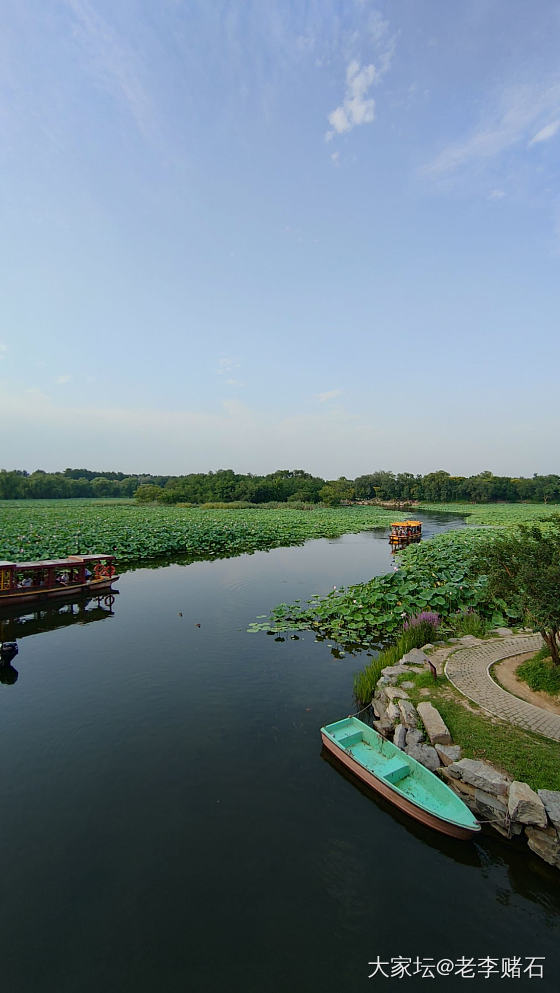 圆明园荷花节（二）_旅游