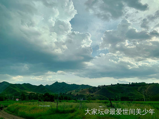 每年夏天刷一趟草原